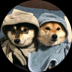 Meet your Posher, Phamdon